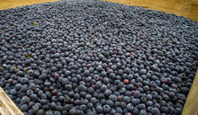Load image into Gallery viewer, Frozen Blueberries