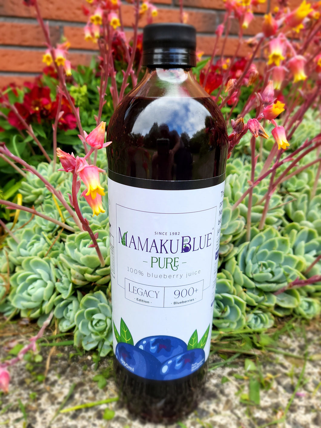 750ml Pure Blueberry Juice