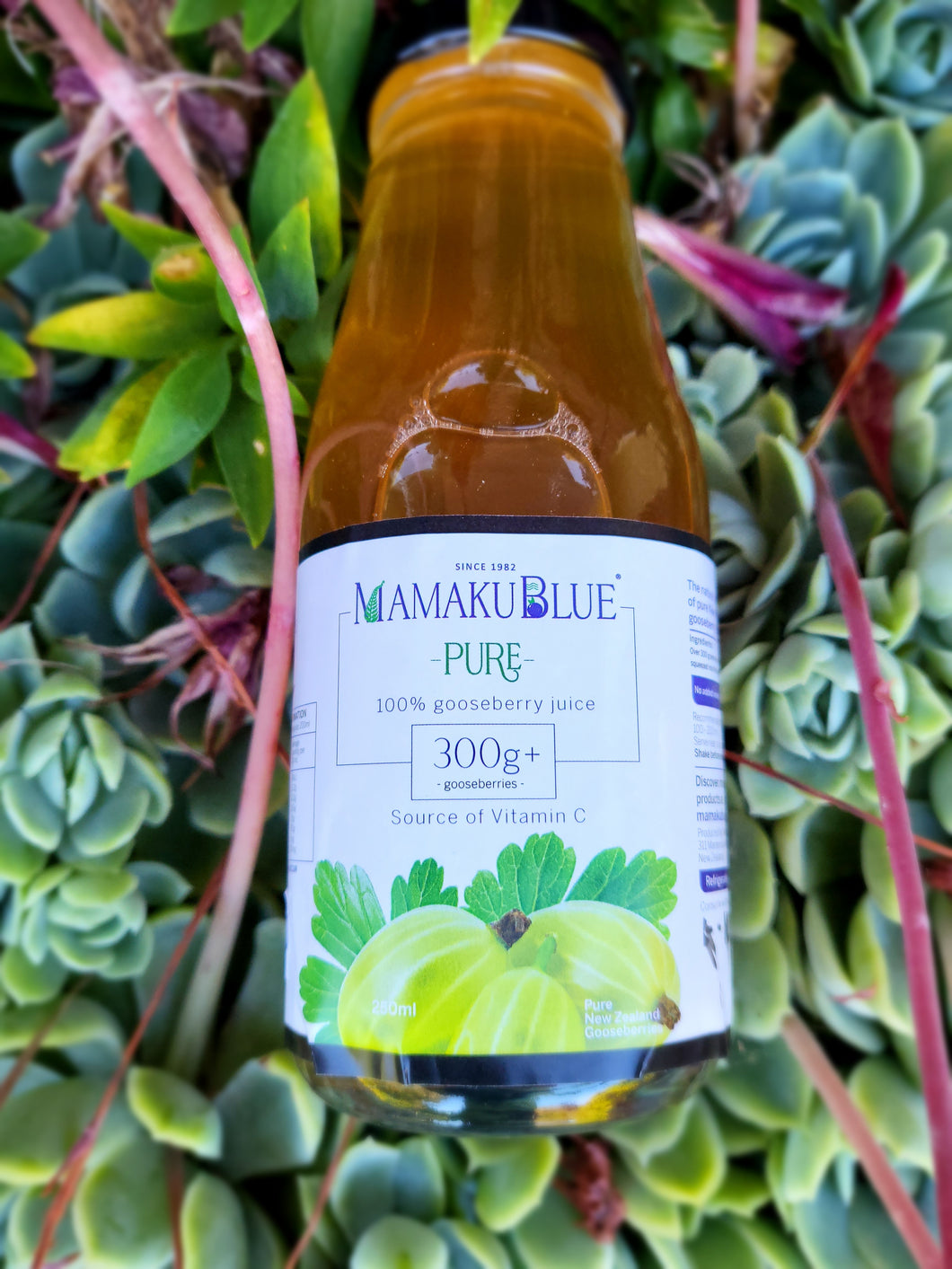 250ml Pure Gooseberry juice