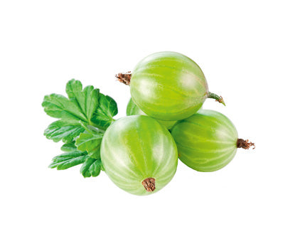Frozen Gooseberries